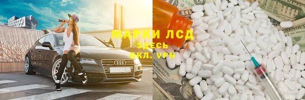 прущие грибы Алзамай