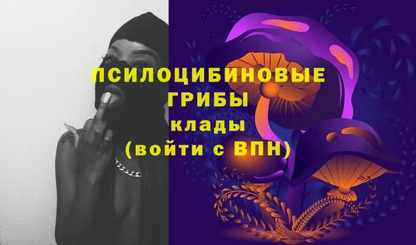 apvp Алексеевка
