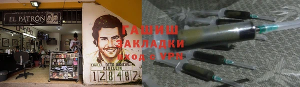прущие грибы Алзамай