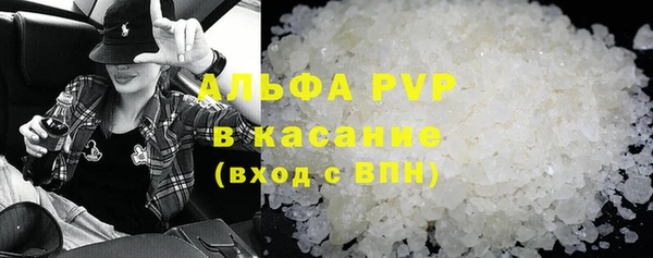 прущие грибы Алзамай