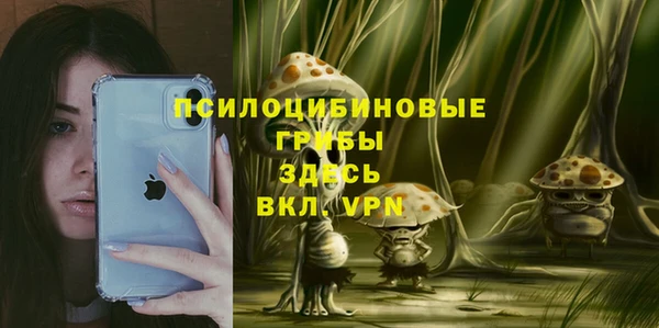 прущие грибы Алзамай