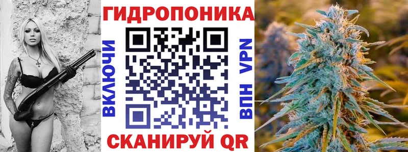 Канабис Ganja  Кувшиново 